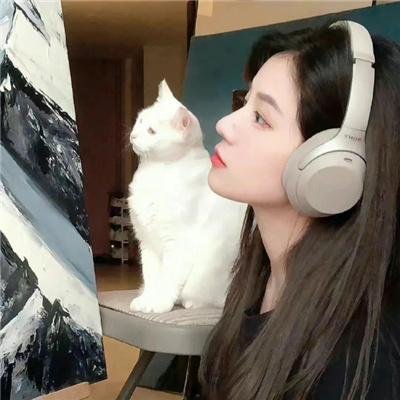画之国 在线观看