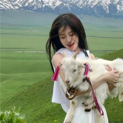 开端 在线观看